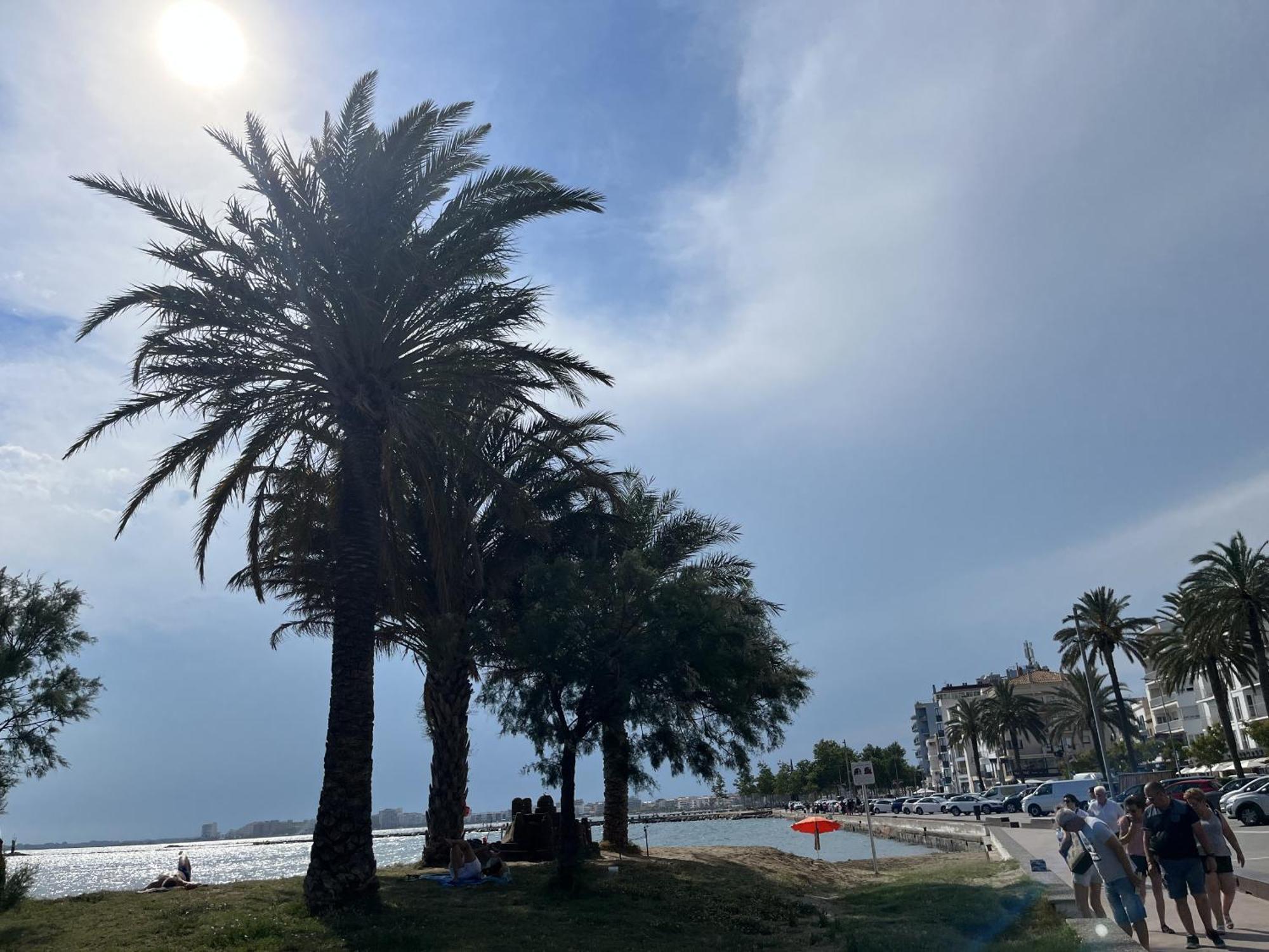 罗萨斯Castell Joncar,30 M De La Playa, 1Era Linea De Mar, Vista Al Mar公寓 外观 照片